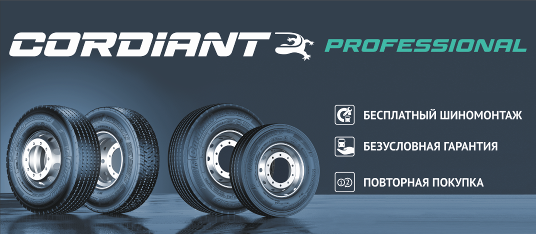 CORDIANT PROFESSIONAL