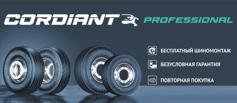 ПРОГРАММЫ ОТ CORDIANT PROFESSIONAL
